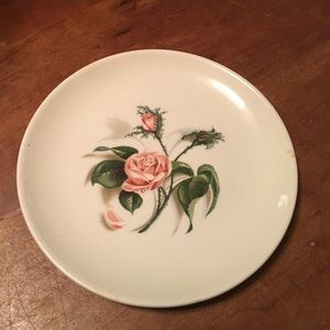 Vintage Universal Ballerina China "Moss Rose" Plate USA Union Made Oven Proof